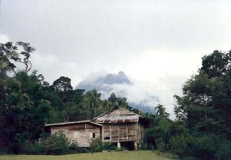 our_fist_glimse_of_kinabalu